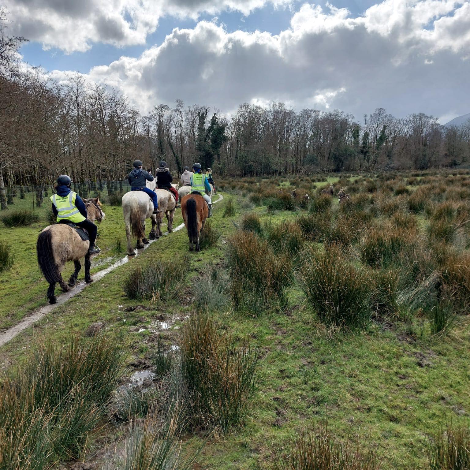 killarneyridingstables