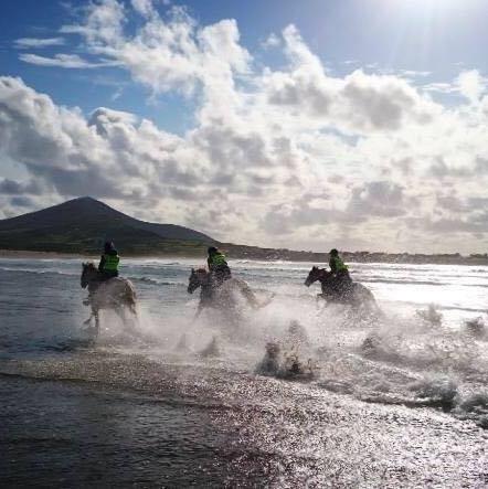 dinglehorseriding