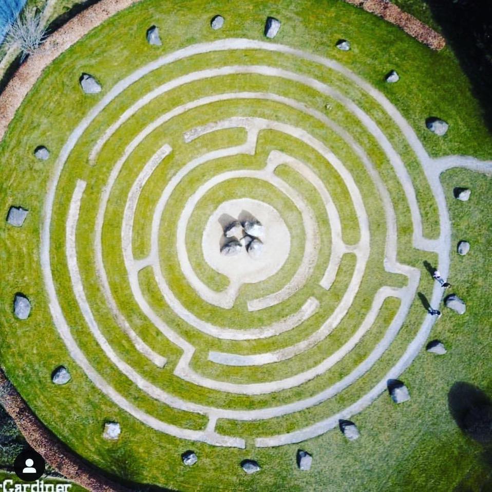 greenanmaze